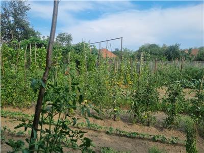 Casa cu curete, gradina si anexe Rausor